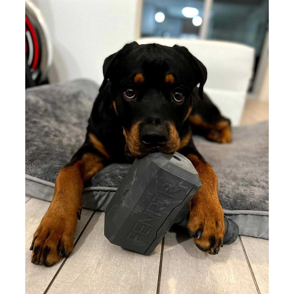 Hammer Chew Toy Q760