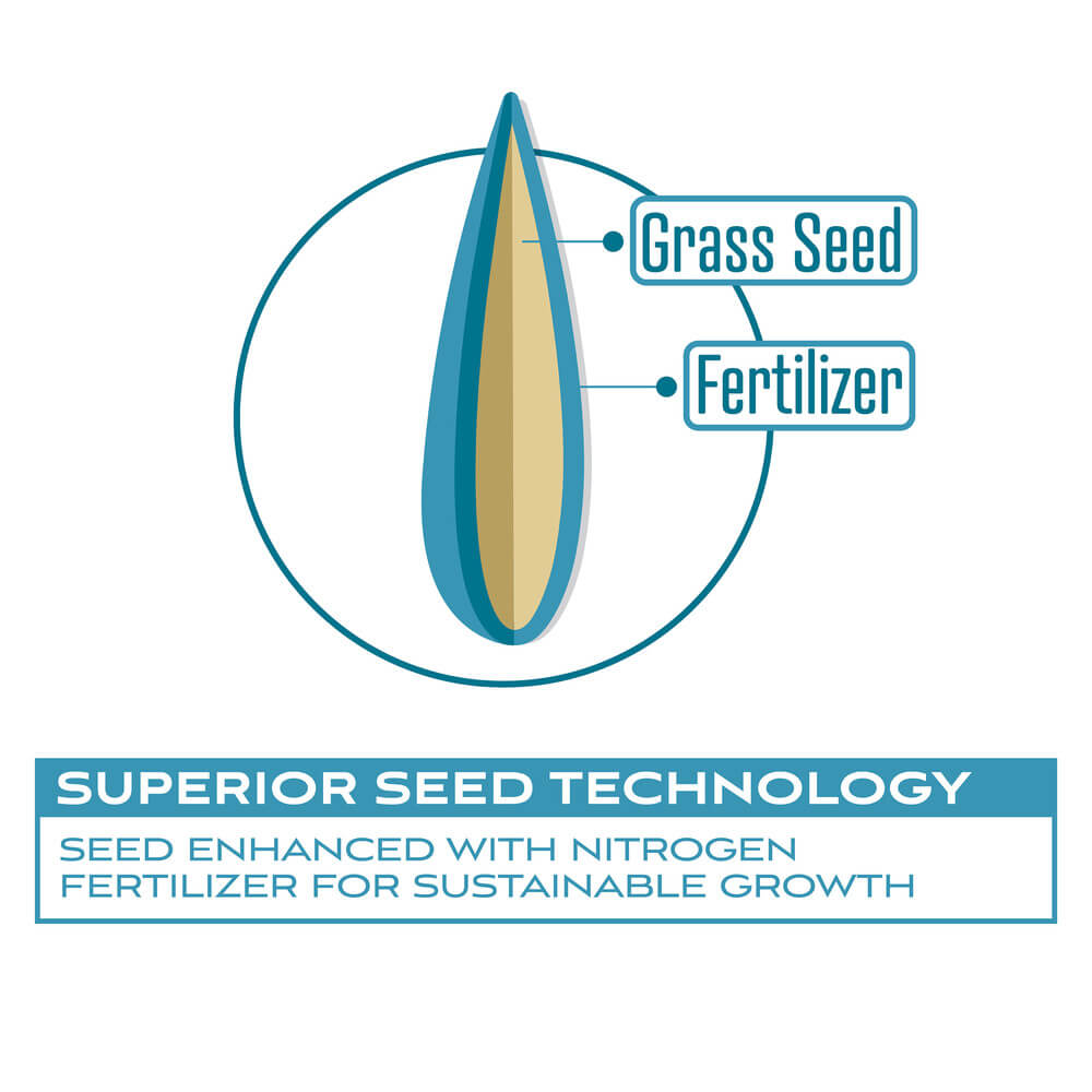 Perennial Ryegrass Grass Seed Blend 50 lb N77781