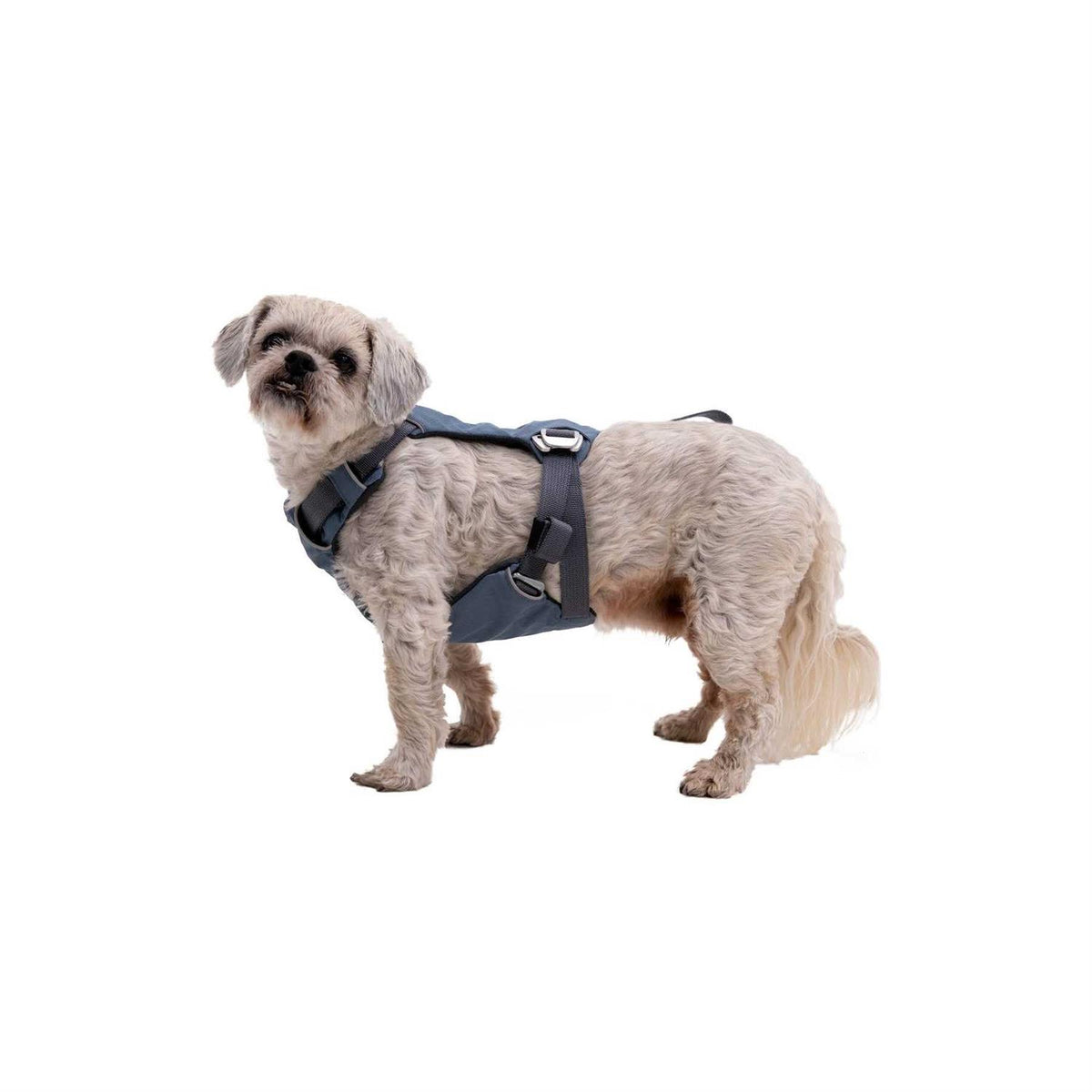 Load Up Harness P684