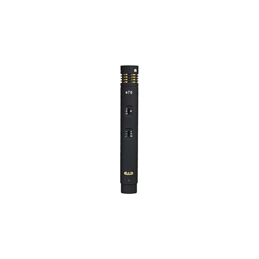 Condenser Microphone W879