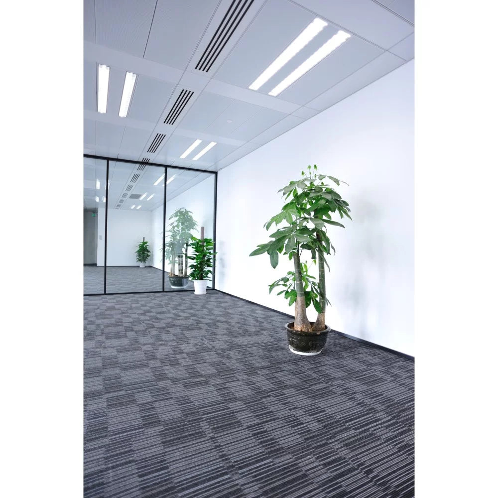 T8 Cool White 48 in. Linear LED Bulb J209433