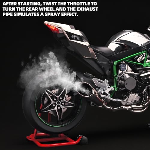 1:6 Scale Die Cast Alloy Motorcycle Model D2807