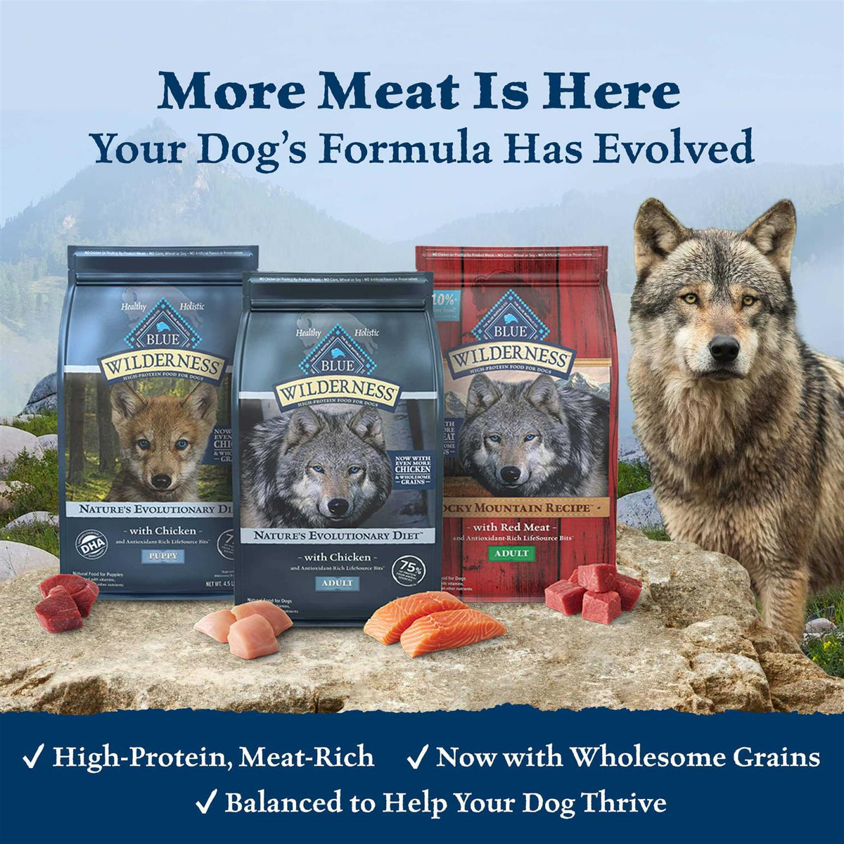 Blue Buffalo Wilderness Dog Food D722