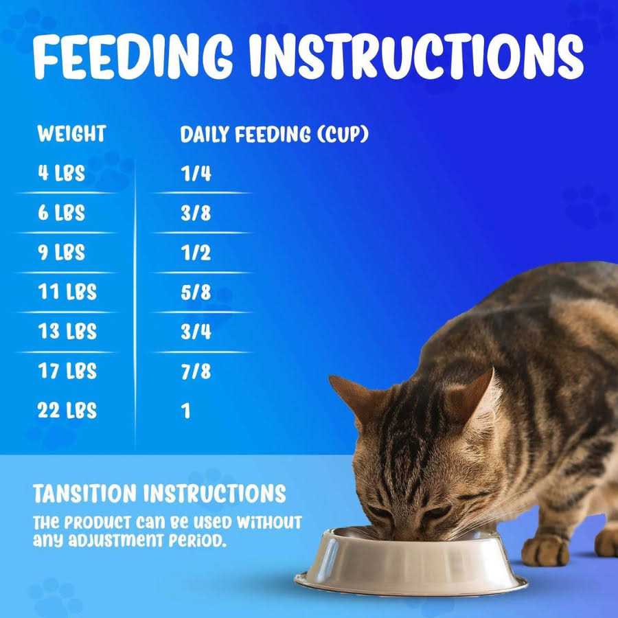 Dry Cat Food M42616