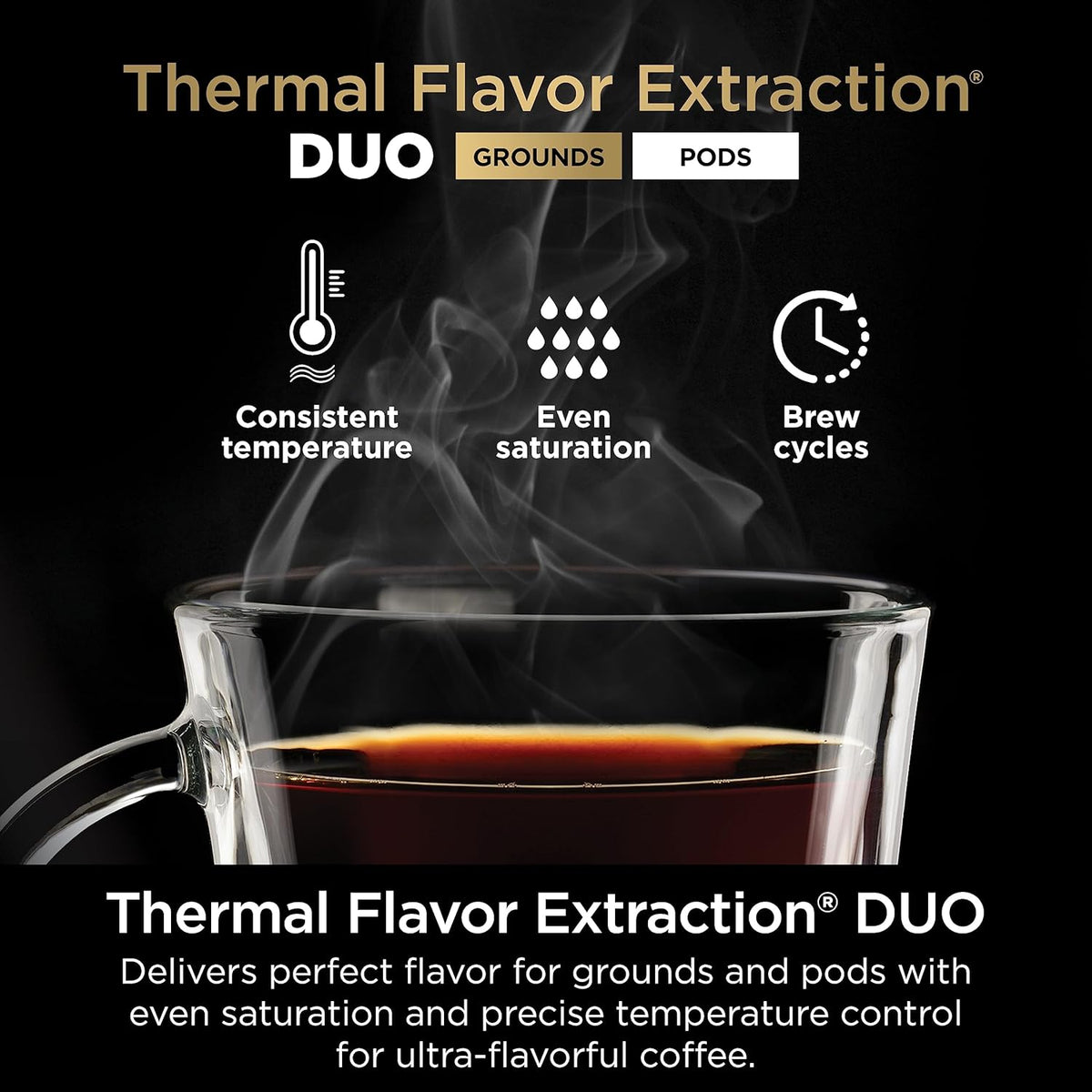 Black DualBrew Hot & Iced Coffee Maker G6142