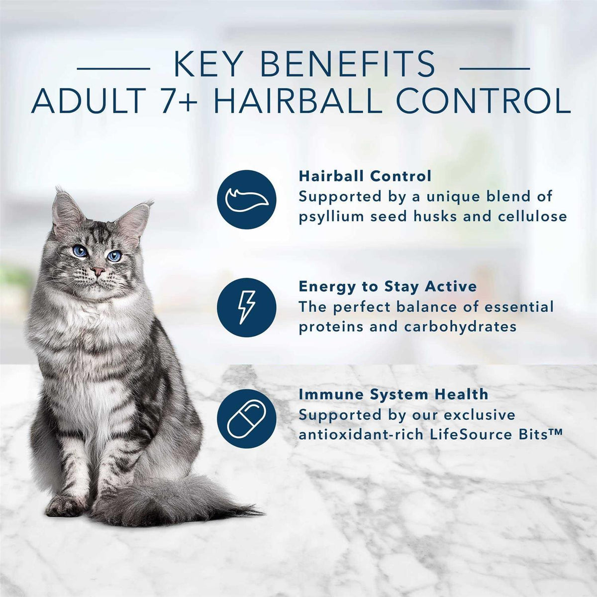 Blue Buffalo Indoor Hairball Control Mature Dry Cat Food I157352