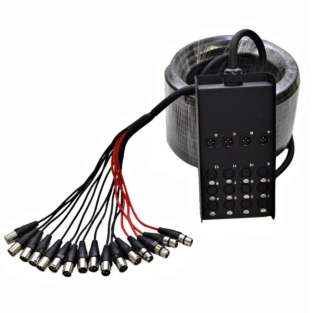 12 Channel XLR Snake Cable 100 Feet E5700
