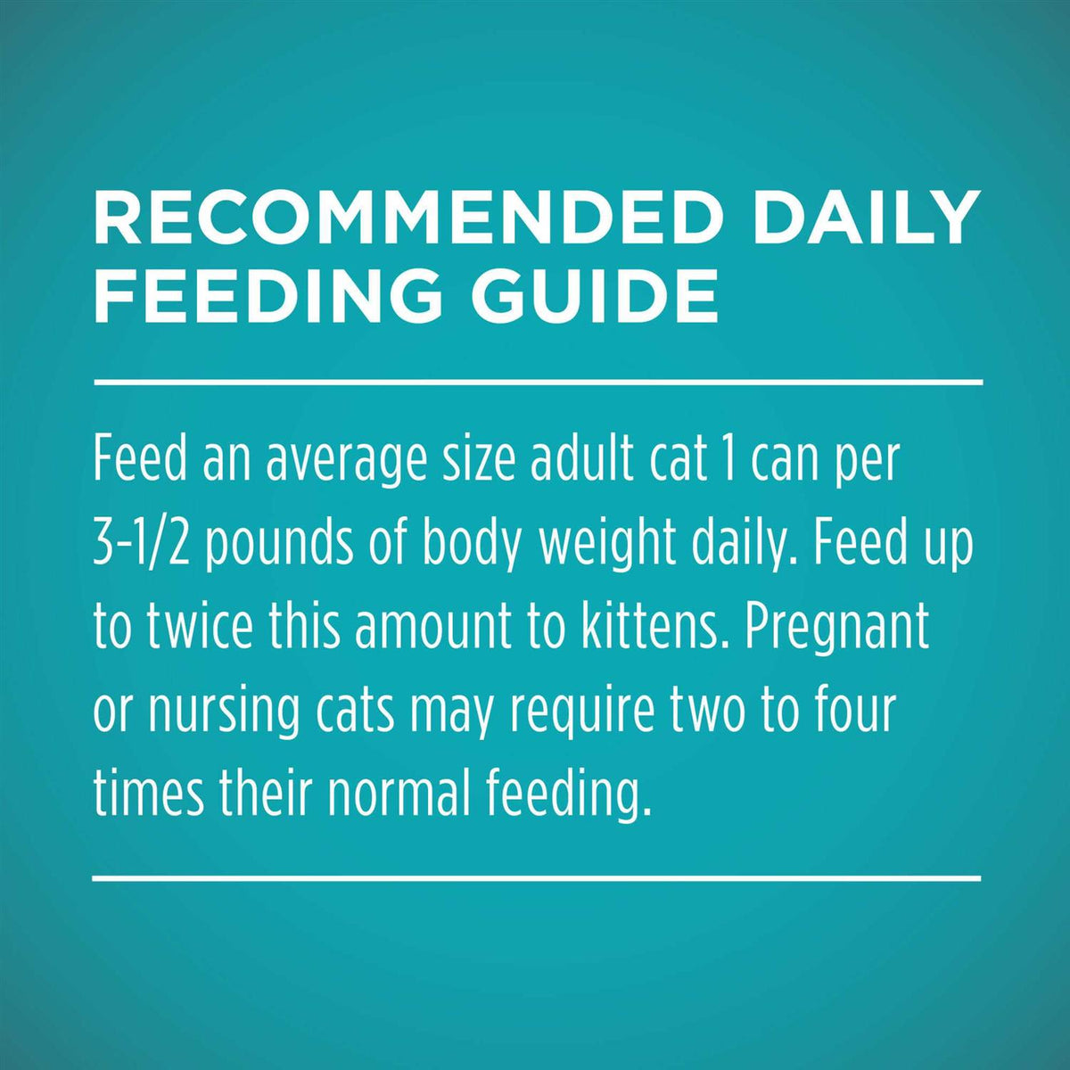 Natural Grain Free Wet Cat Food Pate Q431441