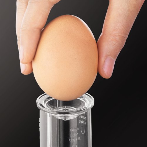 Electric Egg Cooker I449