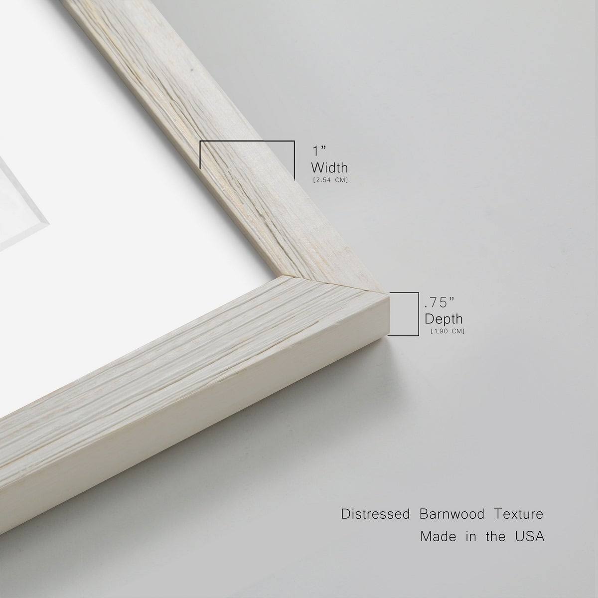Framed Print 31X44 Walnut T232154