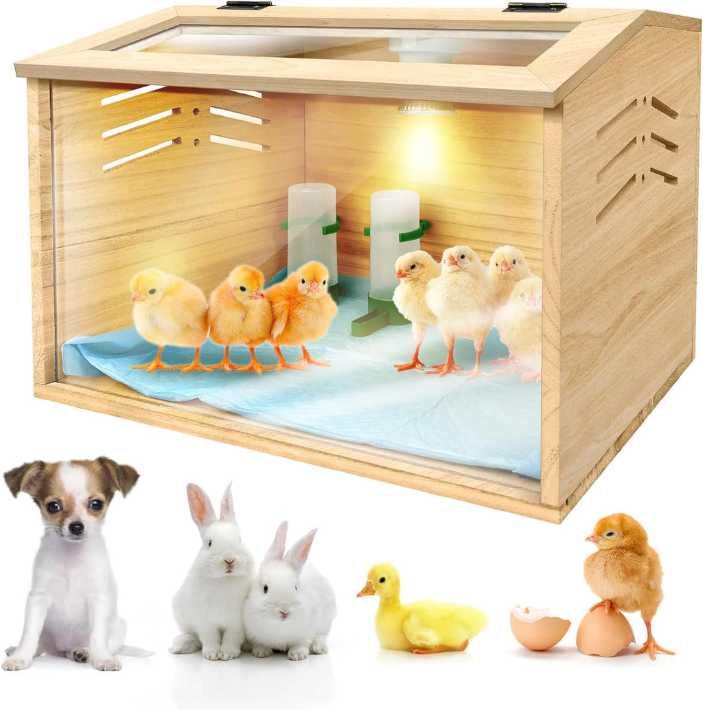 Chicken brooder Box, 15.7 X 12 X 12 inches Y217130