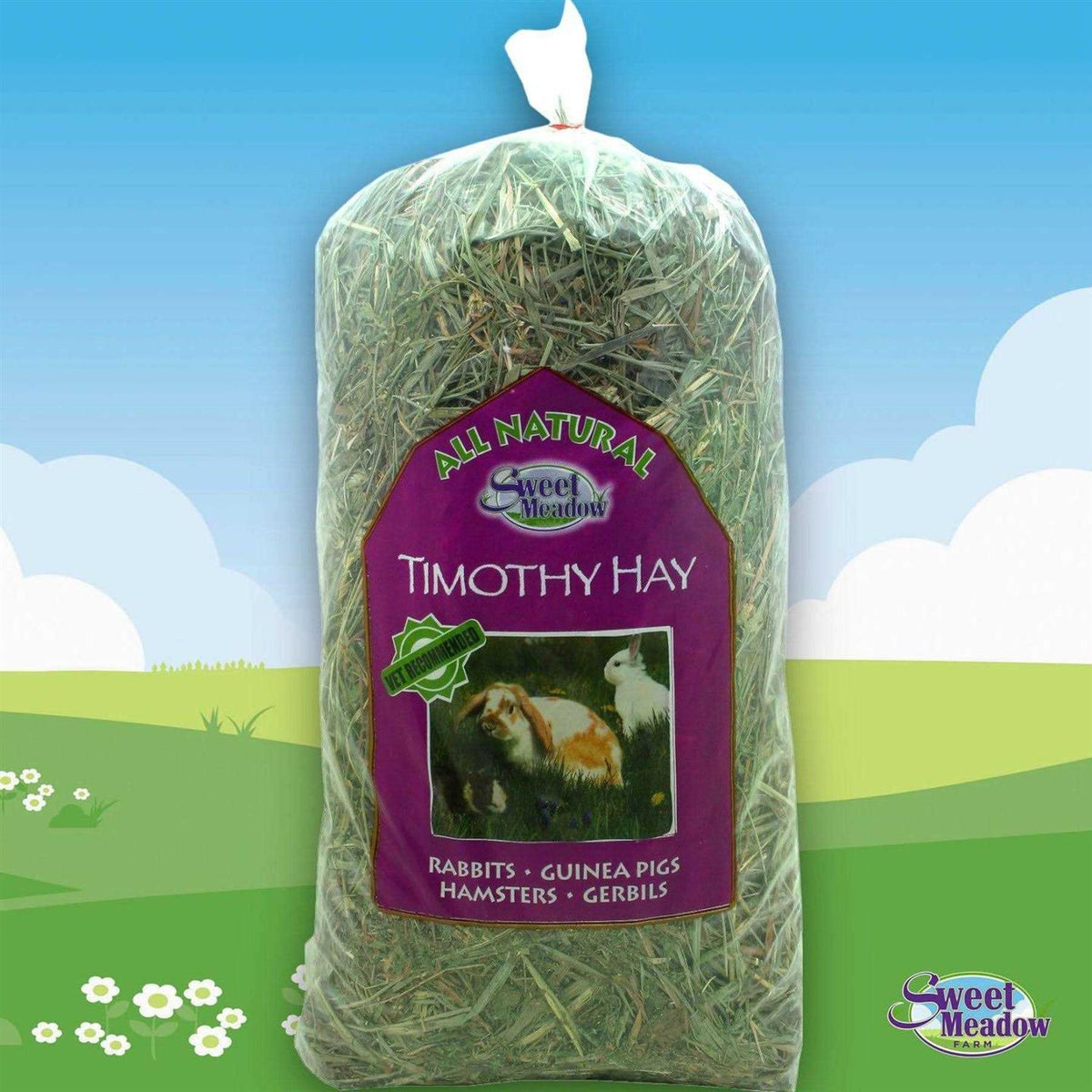 Timothy Hay C6365