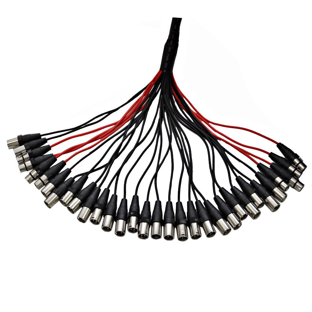 12 Channel XLR Snake Cable 100 Feet E5700