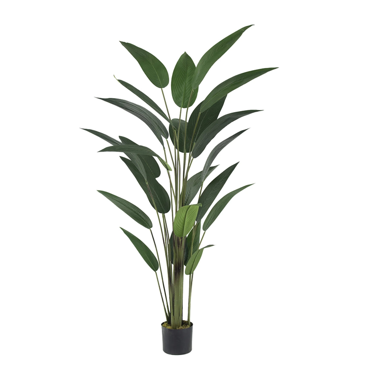 6' Artificial Potted Tree F898