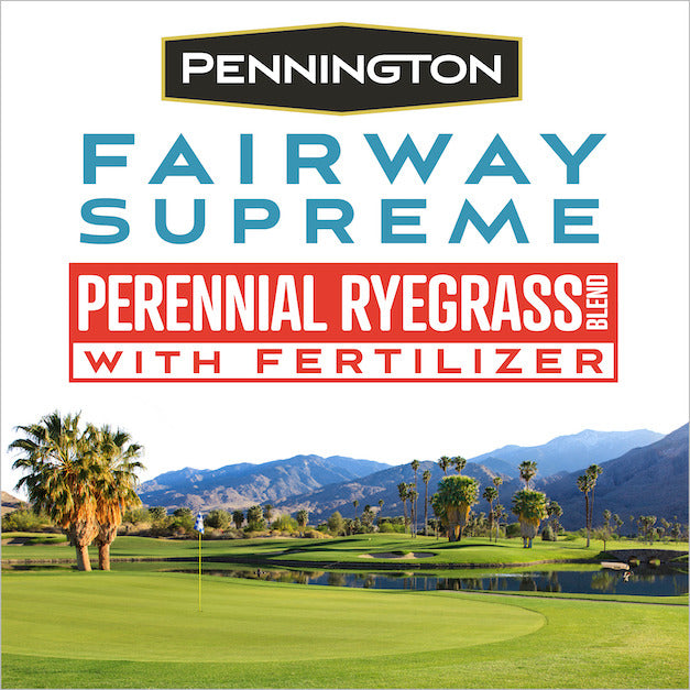 Perennial Ryegrass Grass Seed Blend 50 lb N77781