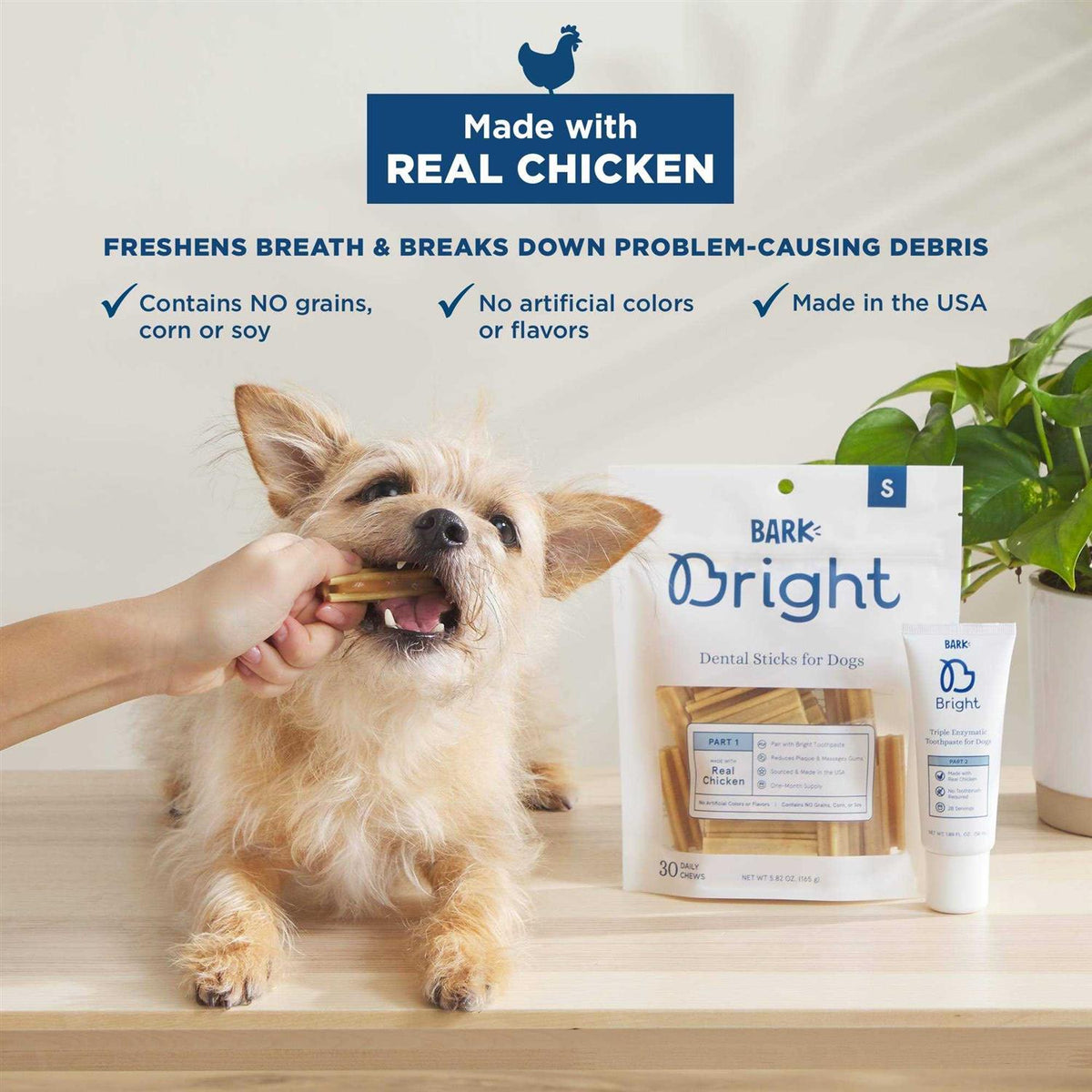 Dental Kit for Dogs H81865