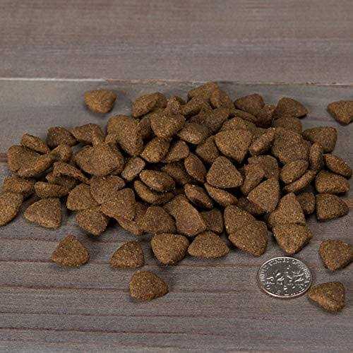 Grain-Free Turkey Recipe Dry Dog Food S813250