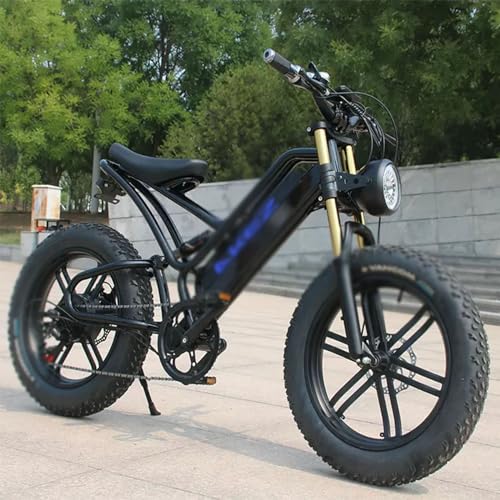 Electric Bicycle Fat Tire Removeable Battery Ebike M272
