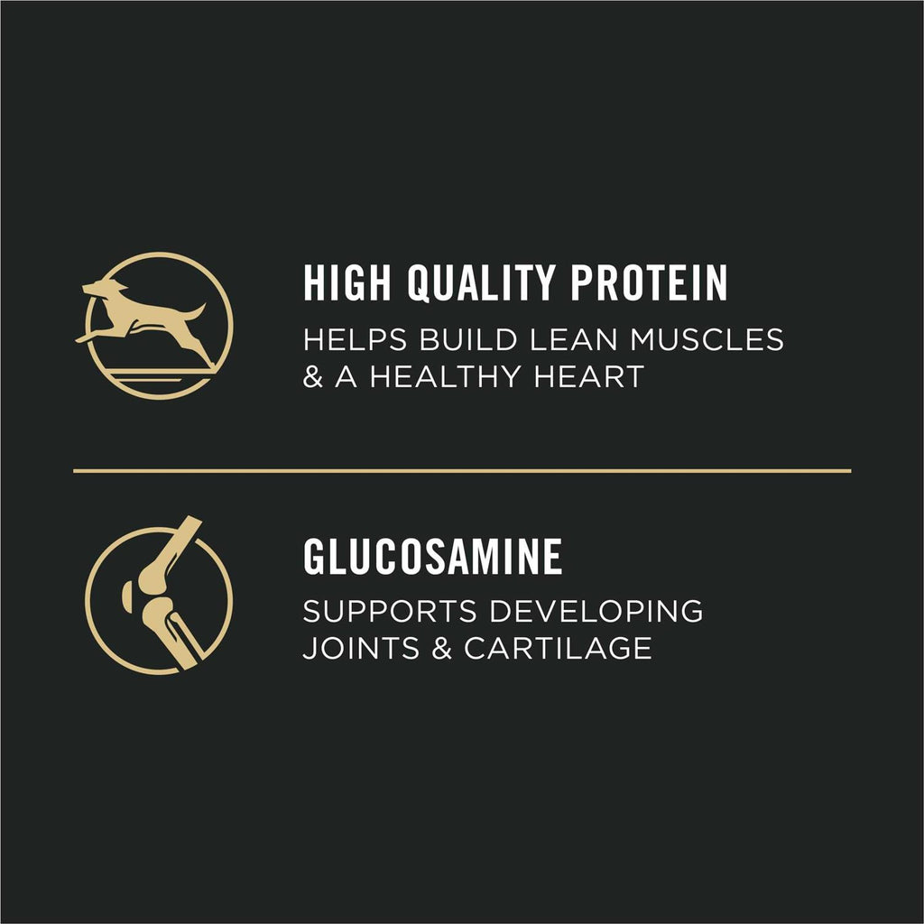 High Protein Chicken Large Breed Puppy Food W40978