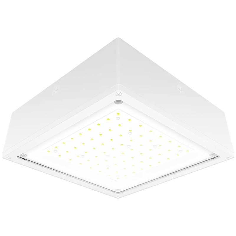 Vandalproof Canopy 20W Warm LED Flat Lens White W3305