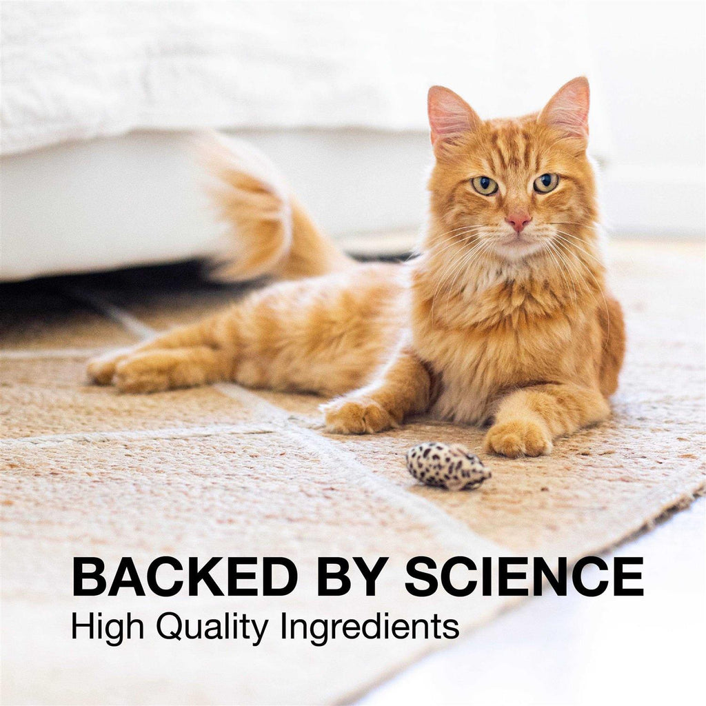 Liver and Brain Health Supplement for Small Dogs & Cats D8820