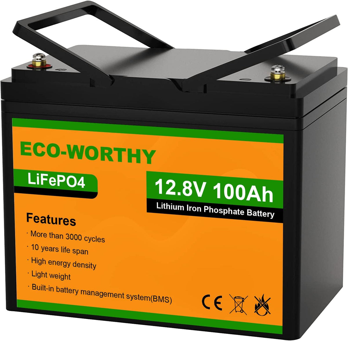 12V 100AH LiFePO4 Lithium Iron Phosphate Battery with BMS X59659