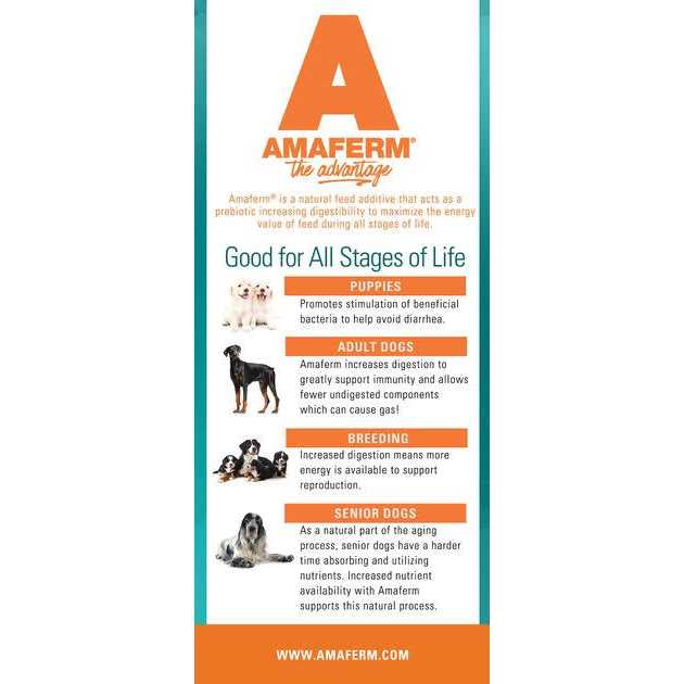 Grain Free Dry Dog Food N39483