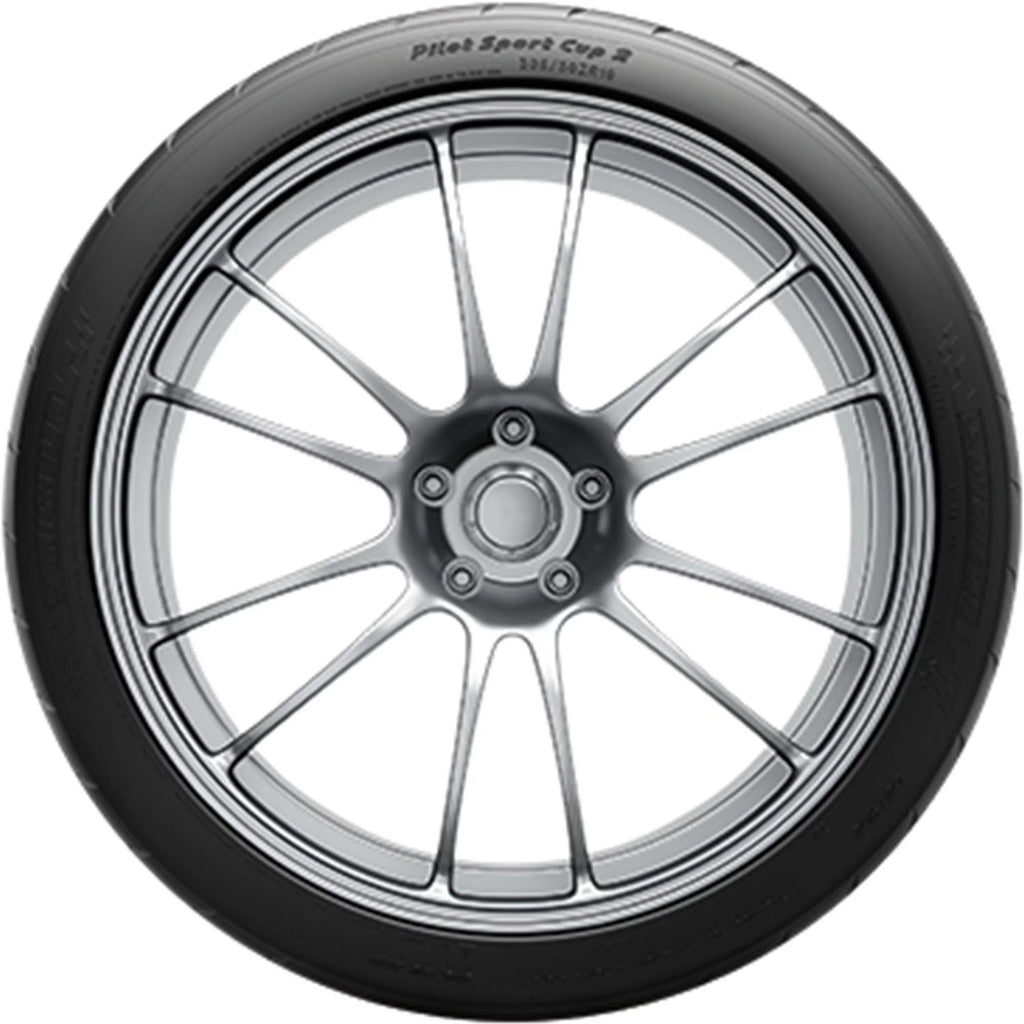 Summer 315/30ZR19 (100Y) Tire E666581