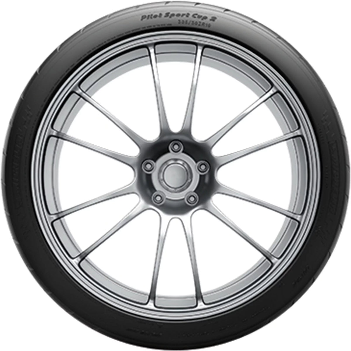 Summer 315/30ZR19 (100Y) Tire E666581