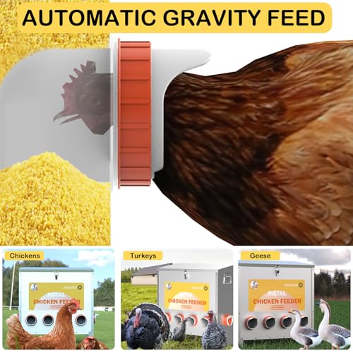 85lbs Metal Poultry Feeder (10-Port) X73136