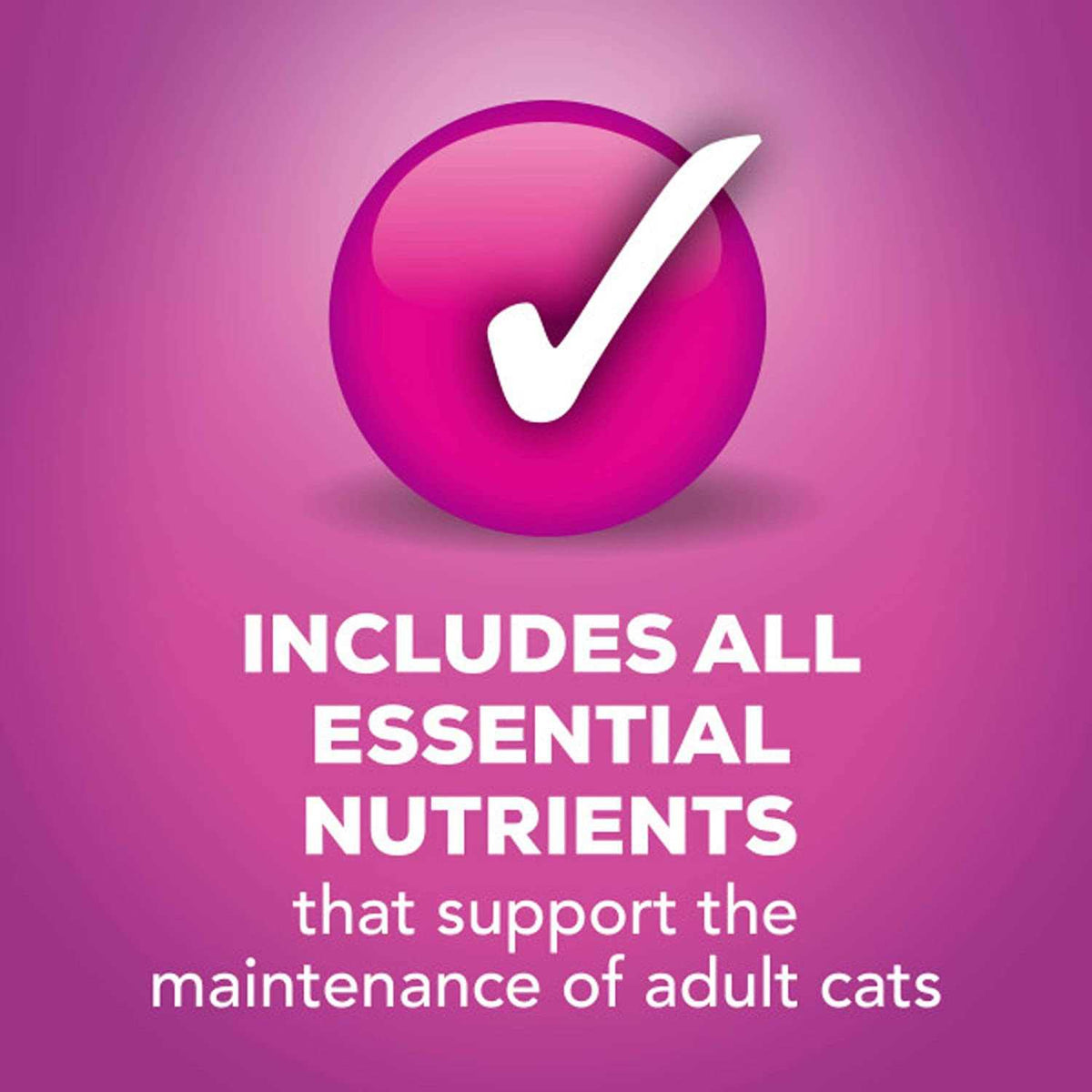 Poultry Cat Food Variety Pack Y28029