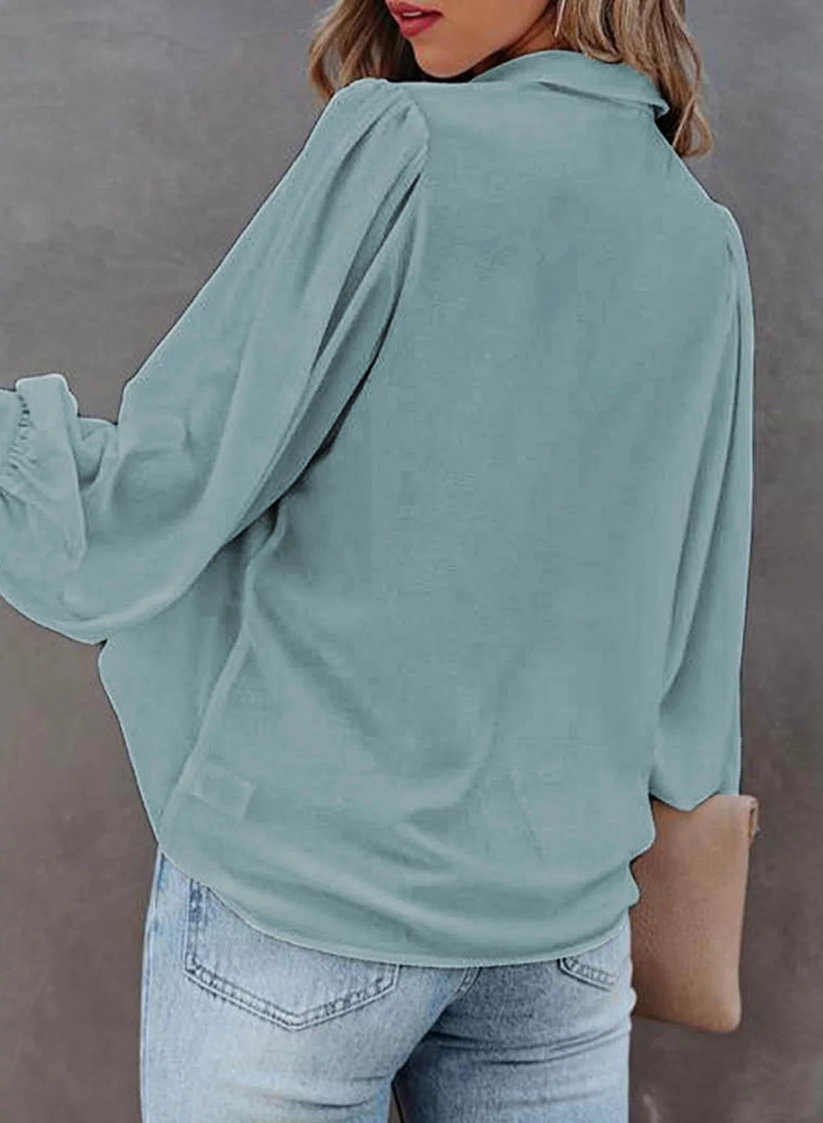 Long Sleeve Button Down Plus Size Blouse O622617