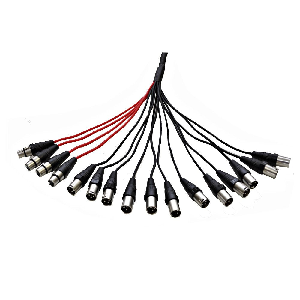 12 Channel XLR Snake Cable 100 Feet E5700