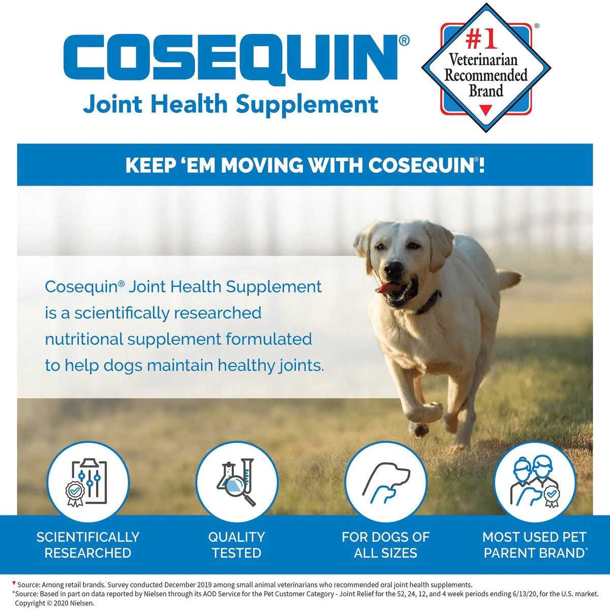 Soft Chews with MSM Plus Omega-3s for Dogs D4618