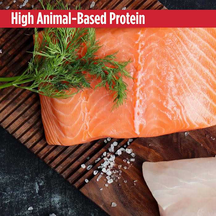 Grain Free Salmon & Sweet Potato Dry Dog Food P46180