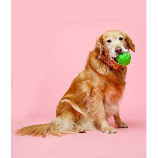 Dura Play Ball Dog Toy Z347