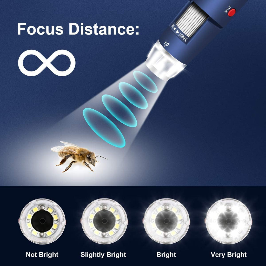 2MP USB Digital Microscope 40-1000X with 8 LEDs Aluminum Alloy Stand C986468