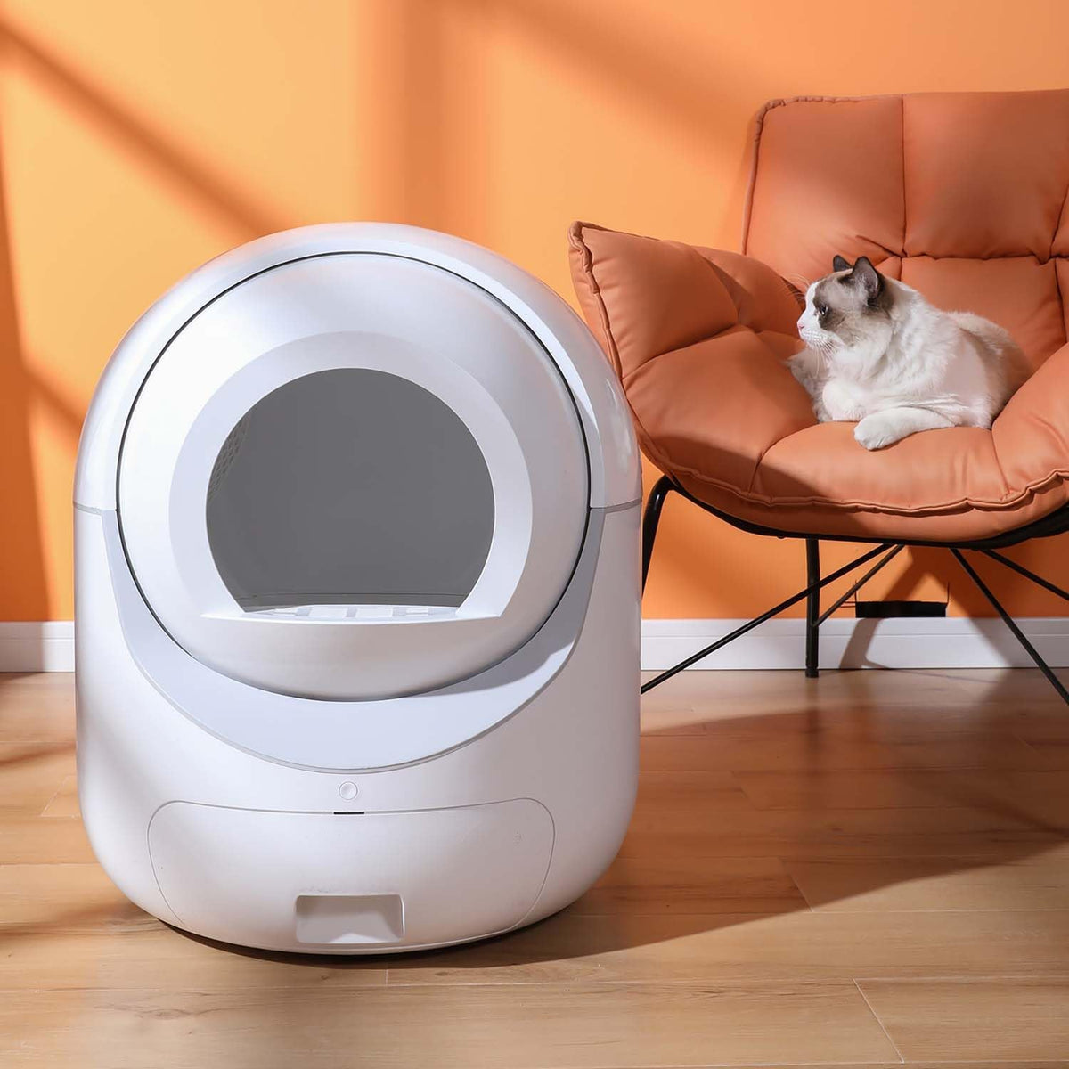 Automatic Self Cleaning Litter Box with Odor Removal and APP Control F468731