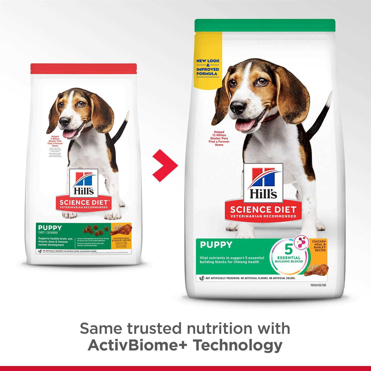Chicken Dry Dog Food P8031