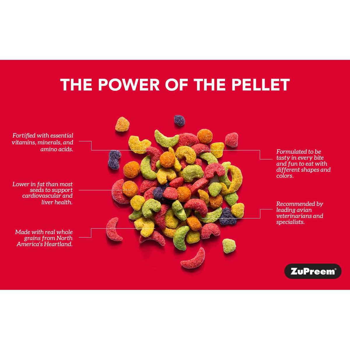 NutBlend Flavor Bird Food T465