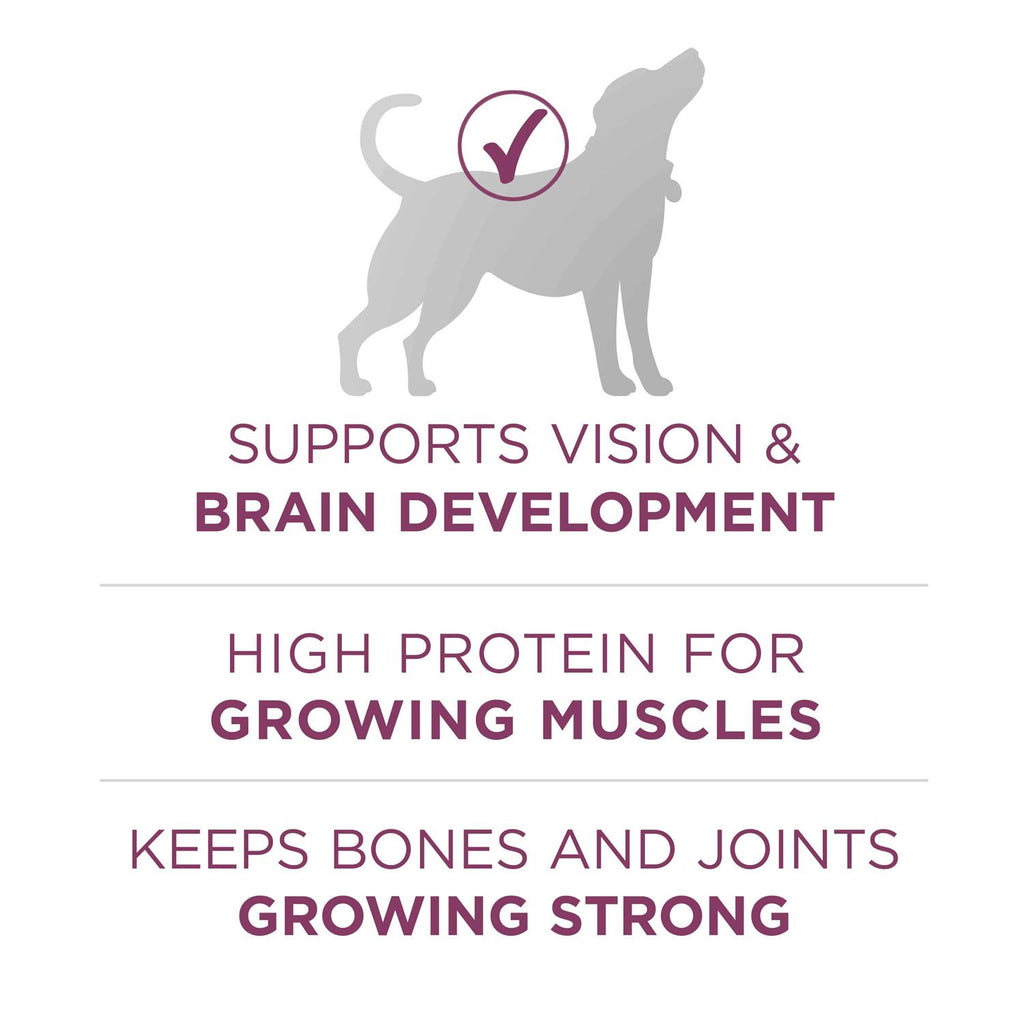 High Protein Dry Dog Food S880595