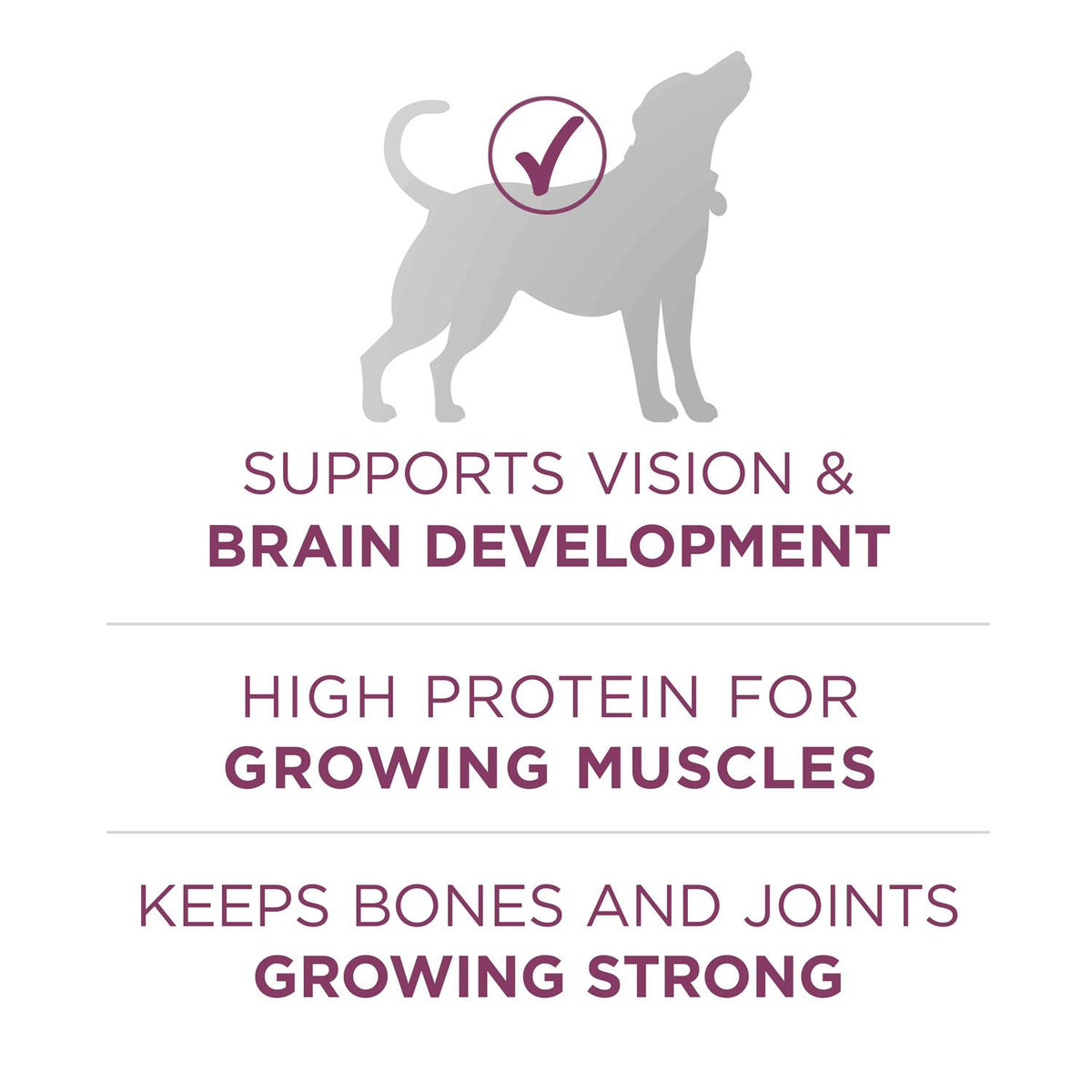 High Protein Dry Dog Food S880595