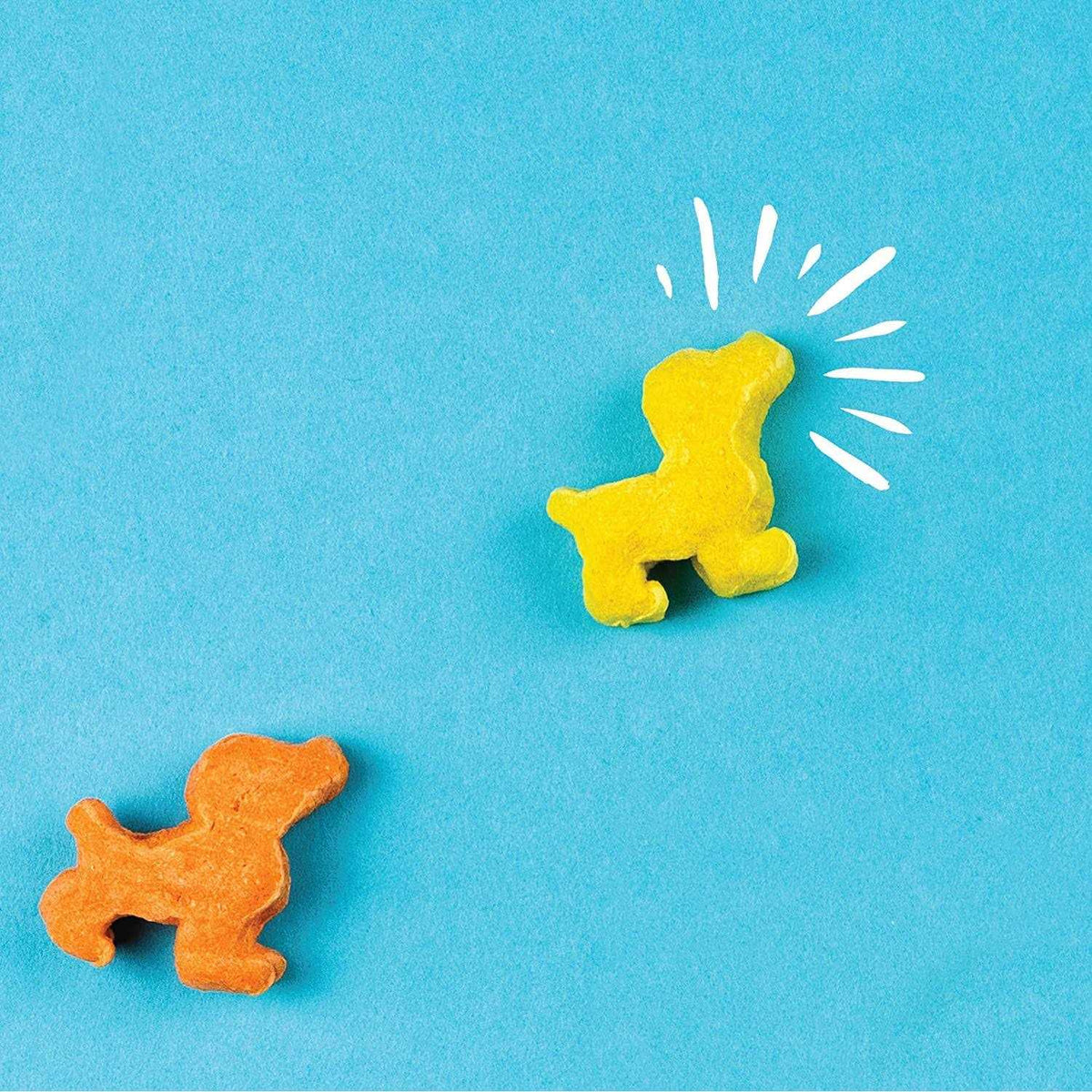 Dog Treats C819