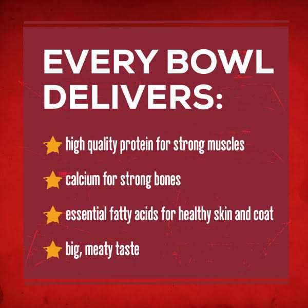 Savory Beef Dry Dog Food X626
