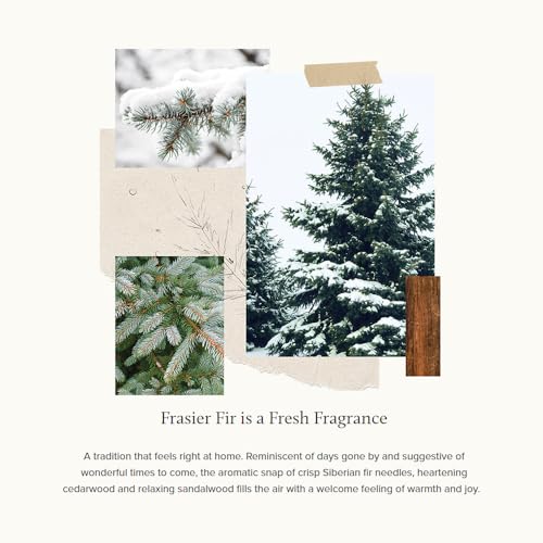 Frasier Fir Scented Candles (3-Wick, 17 oz) S630987