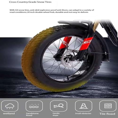 Electric Bicycle Fat Tire Removeable Battery Ebike M272
