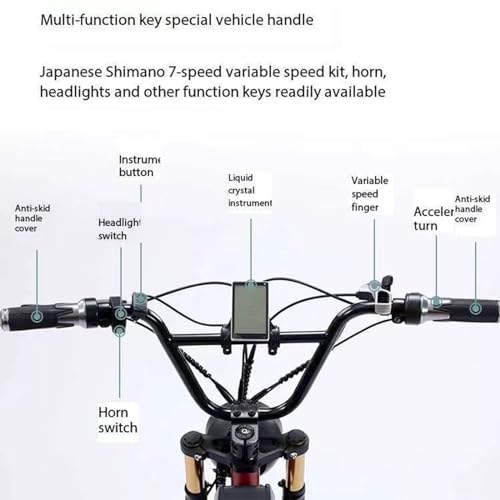 Electric Bicycle Fat Tire Removeable Battery Ebike M272