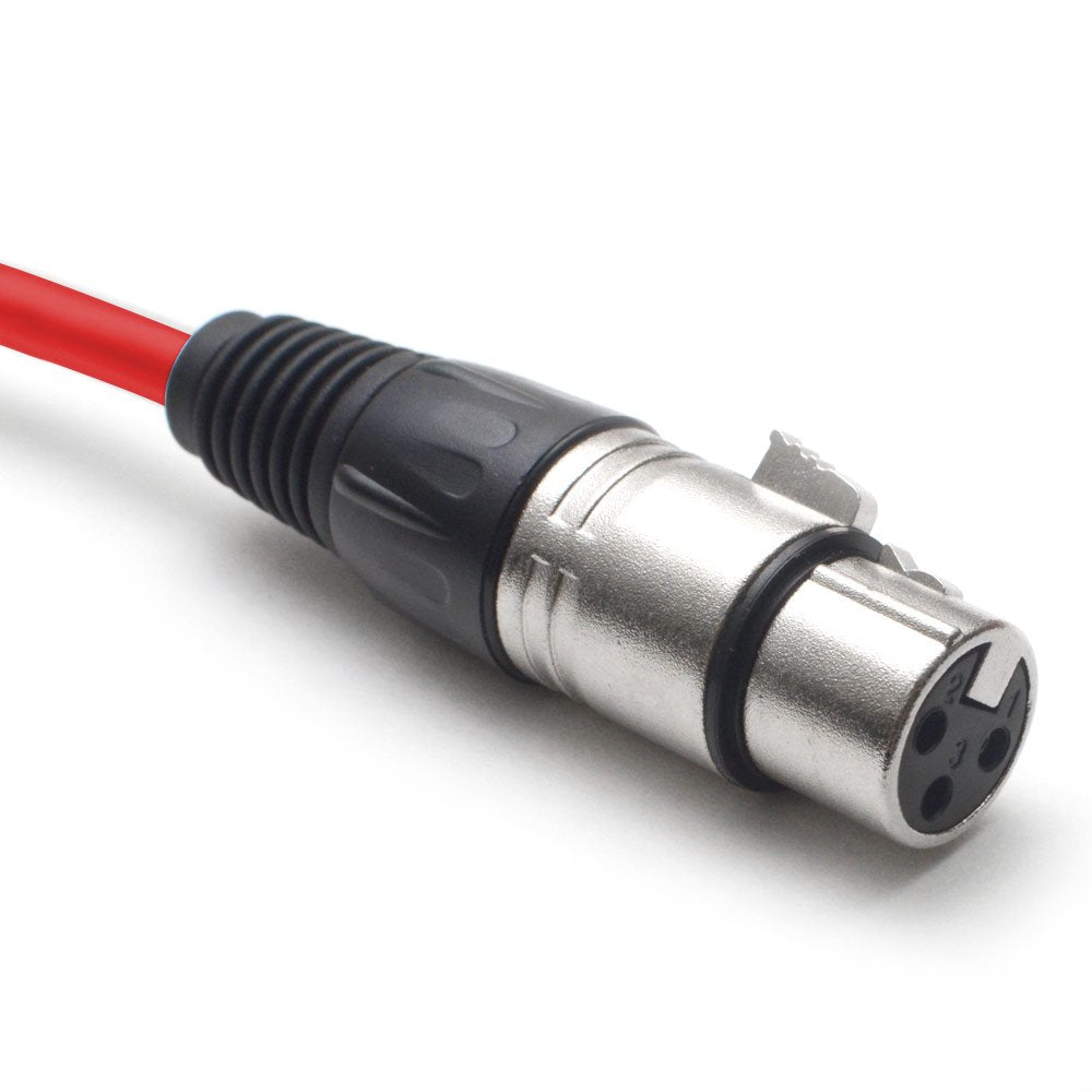 12 Channel XLR Snake Cable 100 Feet E5700