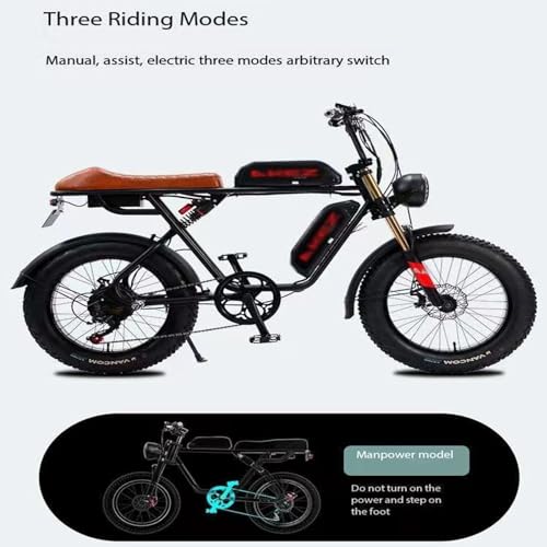 Electric Bicycle Fat Tire Removeable Battery Ebike M272