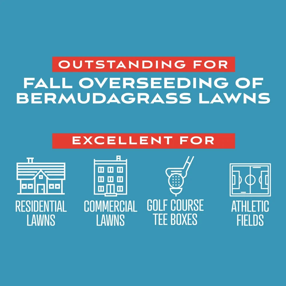 Perennial Ryegrass Grass Seed Blend 50 lb N77781